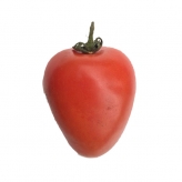 Tomate Pera (Kg)